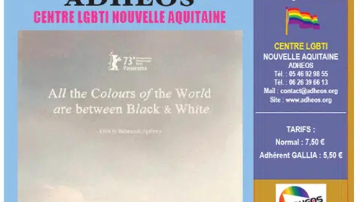 CINE RENCONTRE 17 MAI 2024 SAINTES